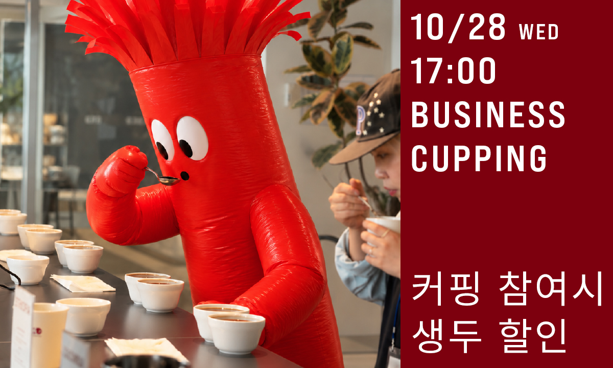 프로모션 배너