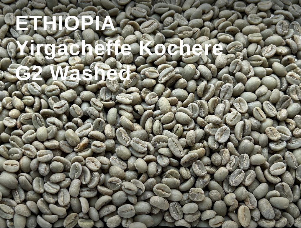 Ethiopia Yirgacheffe Kochere G2 Washed