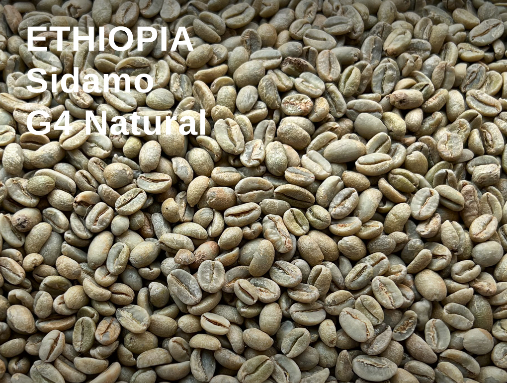 Ethiopia Sidamo G4 Natural